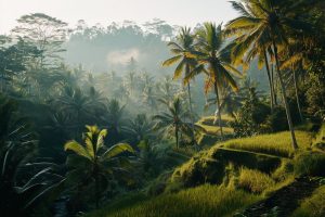 Comment contribuer au tourisme durable au Laos ?