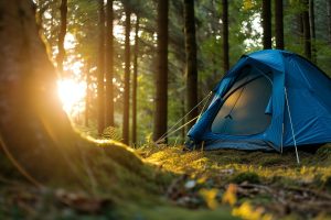 Comment pratiquer l'écocamping et réduire son empreinte écologique en pleine nature ?