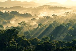 Comment profiter de l'écotourisme en Thaïlande en harmonie avec la nature ?