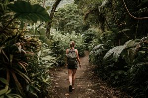 Éco-excursion : comment allier découverte de la nature et respect de l'environnement ?