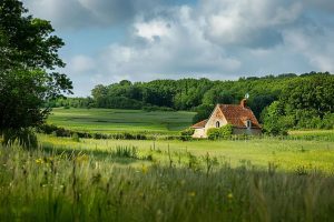 Découvrez Vexin-Sur-Epte, un trésor de culture et de biodiversité au cœur de la Normandie